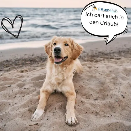 Auf Wolke 7 Von Ostseeahoi 公寓 蒂门多弗施特兰德