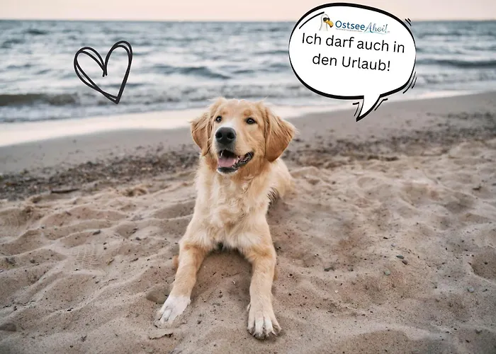Auf Wolke 7 Von Ostseeahoi Lejlighed Timmendorfer Strand